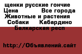 щенки русские гончие › Цена ­ 4 000 - Все города Животные и растения » Собаки   . Кабардино-Балкарская респ.